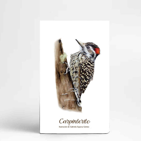LIBRETA - FAUNA CHILENA