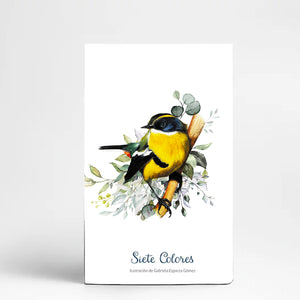 CUADERNO DE VIAJE - FAUNA CHILENA