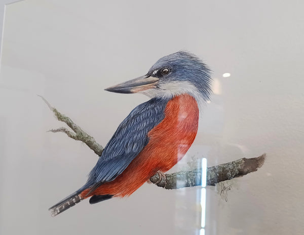 OBRAS DE ARTE - FAUNA CHILENA