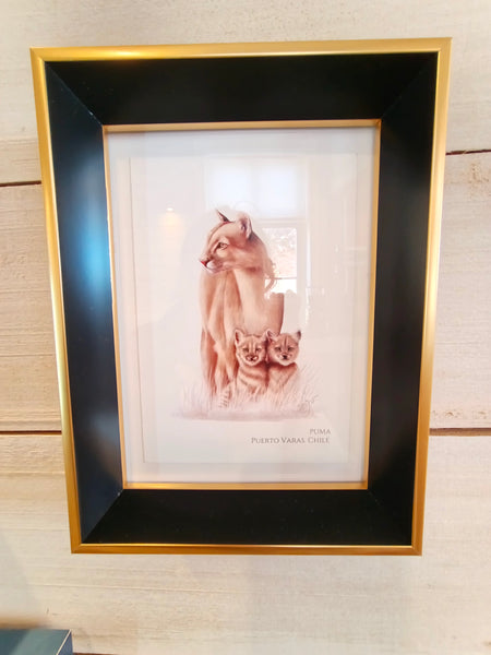 OBRAS DE ARTE - FAUNA CHILENA