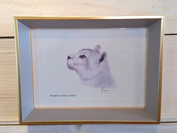 OBRAS DE ARTE - FAUNA CHILENA