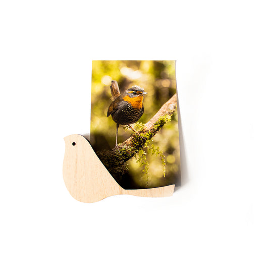 SOPORTE  DE FOTOS - FORMA PAJARITO - AVES DE CHILE