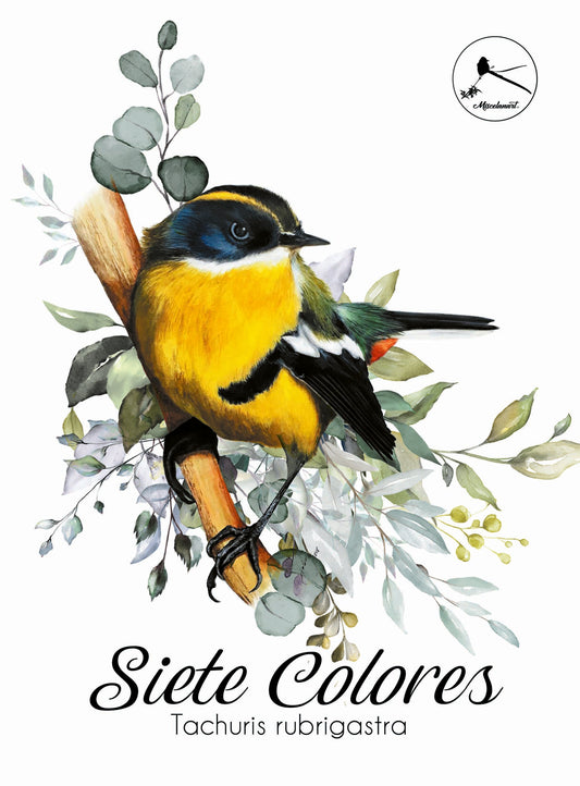 PUZZLES FAUNA CHILENA